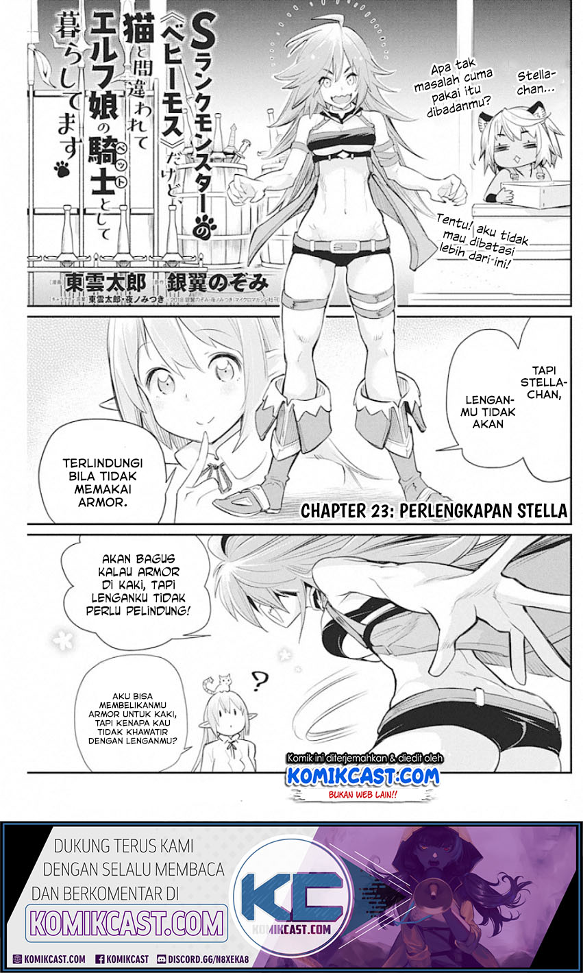 S-Rank Monster no Behemoth Dakedo, Neko to Machigawarete Erufu Musume no Kishi (Pet) Toshite Kurashitemasu Chapter 23 Gambar 2